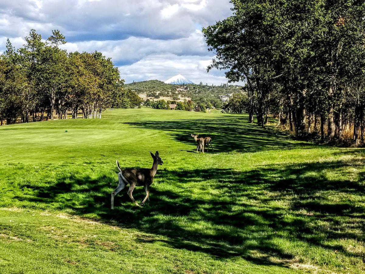 Resort At Eagle Point Golf Club Lodging Kültér fotó